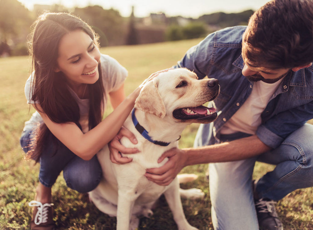 a healthy and fit man and woman petting their dog enjoying the outdoors